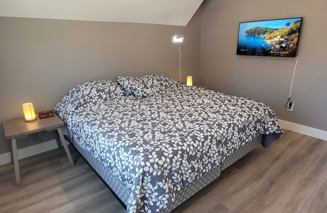 2 Bedroom Carriage House Downtown - Fully Furnished