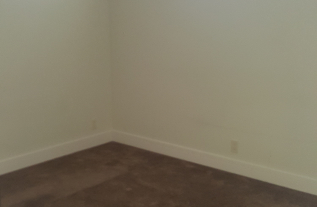 1 Bedroom Basement Suite in Lakeview Heights