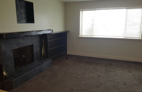 1 Bedroom Basement Suite in Lakeview Heights